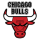 Chicago Bulls